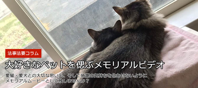 愛猫・愛犬を偲ぶペットのメモリアルビデオ